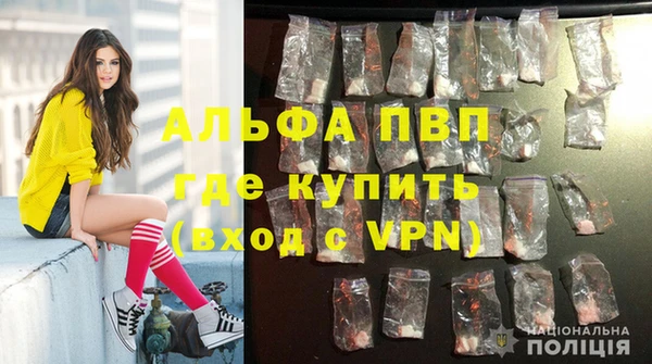 стафф Заволжье