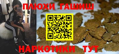 a pvp Гусев