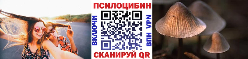 blacksprut ссылка  Пыть-Ях  Псилоцибиновые грибы мицелий 