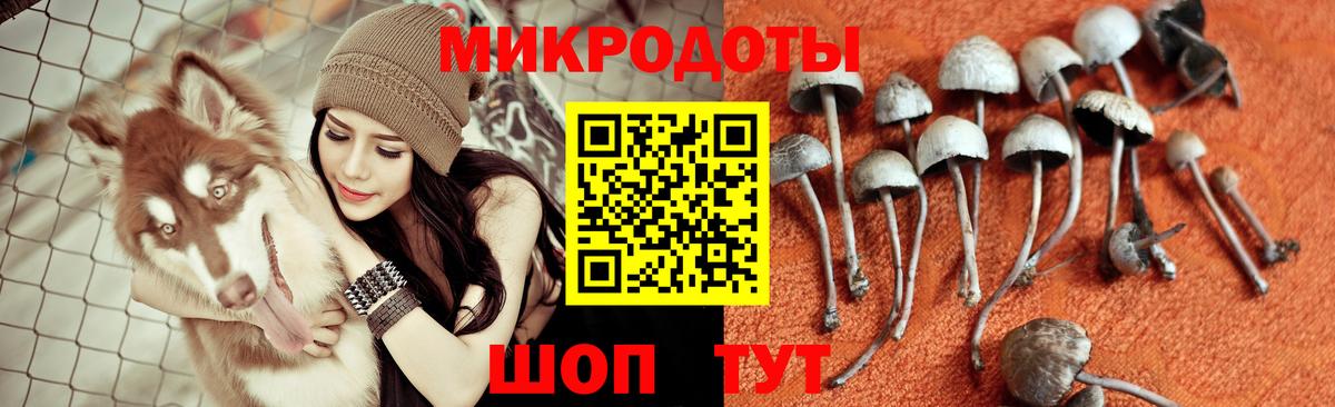 Псилоцибиновые грибы Magic Shrooms  Вход с VPN  Пыть-Ях 