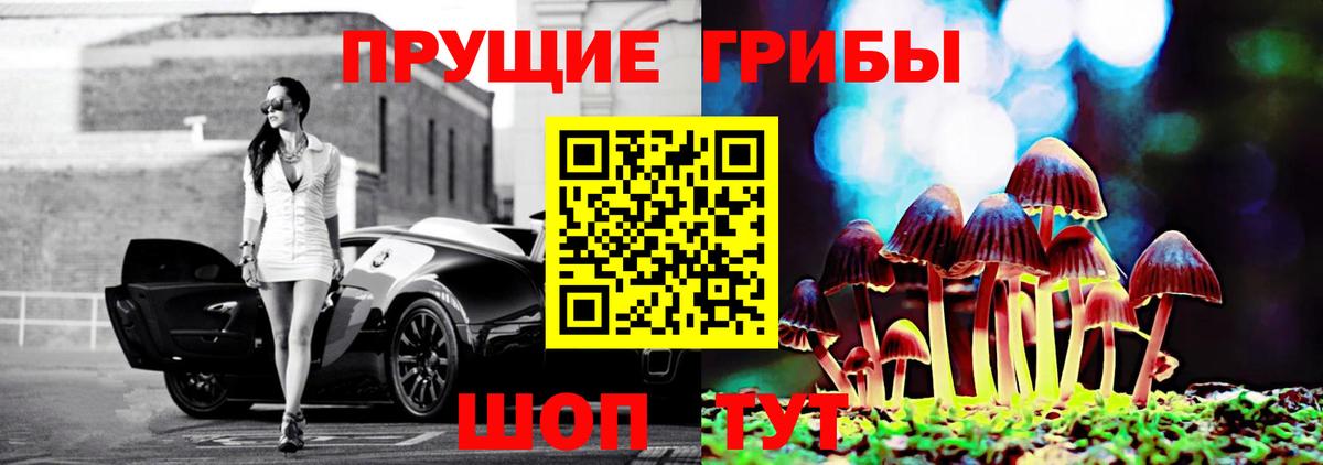 Псилоцибиновые грибы прущие грибы Пыть-Ях